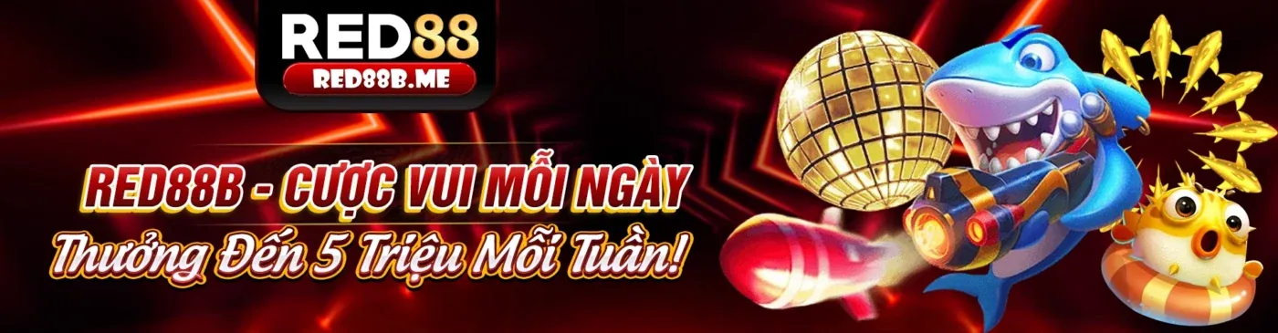 Hoàn trả cược thể thao hàng tuần xbet